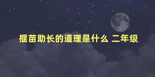 揠苗助长的道理是什么 二年级